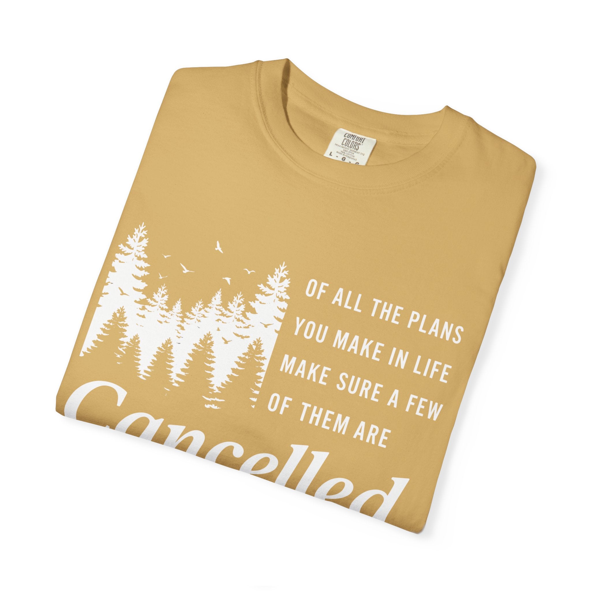 Make Sure Some Plans Are Cancelled T-Shirt
